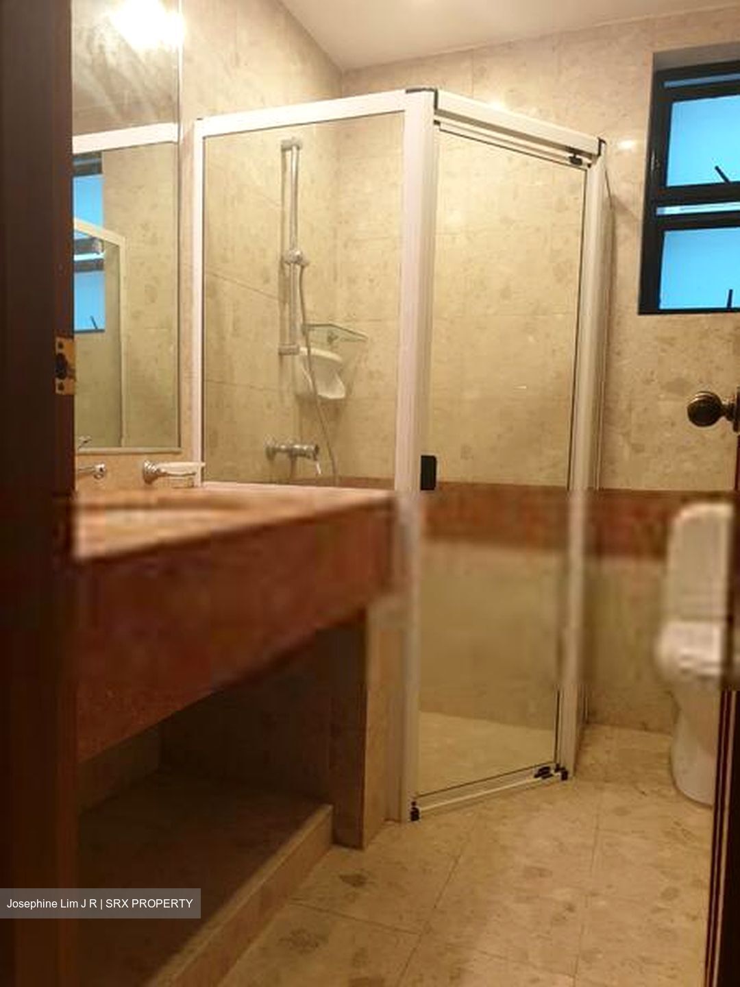 Merawoods (D23), Condominium #583105671
